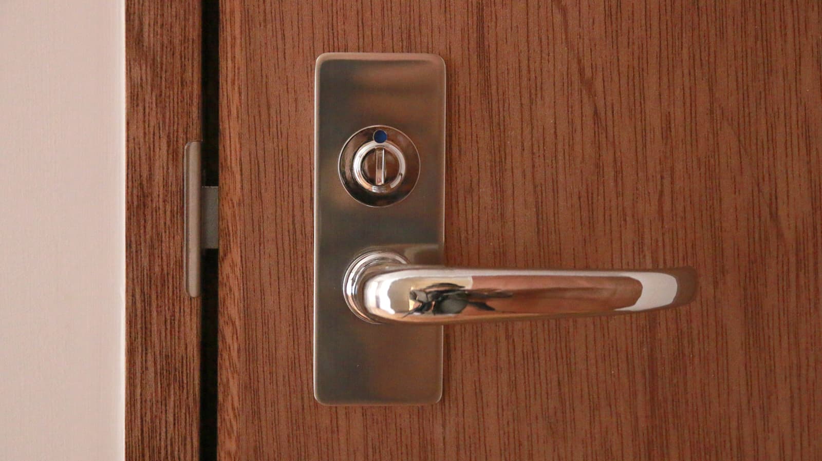 船舶ドアパーツ レバーハンドル ホーン 表示錠 PS-HD015-05-G141