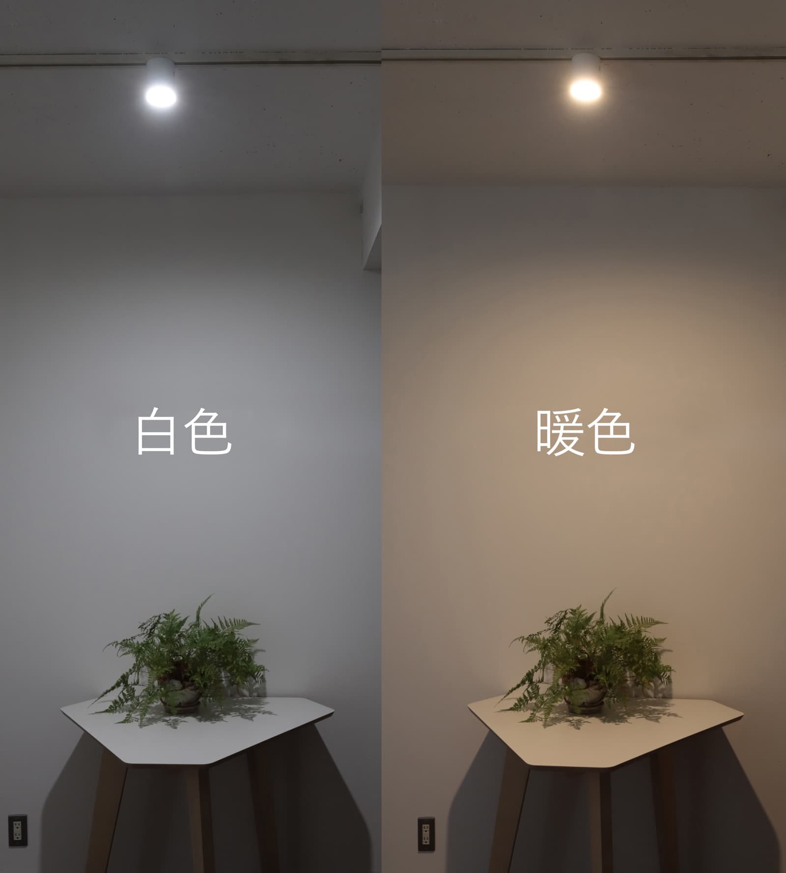 シーリングダウンライト 100W相当 ダークシルバー LT-OT009-02-G141 色調切替スイッチで色温度を選ぶことができます（写真はレールダウンライト）